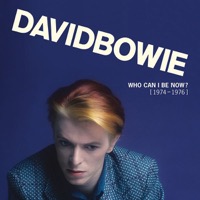 Bowie, David: Who Can I Be Now 1974-1976 (13xVinyl)